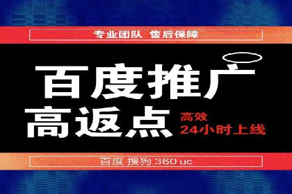 网络推广与竞价广告：双管齐下的策略案例